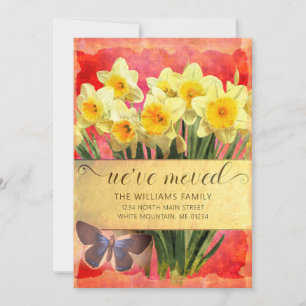 Gult Daffodils Blommigt Butterfly Coral Flytta Meddelande