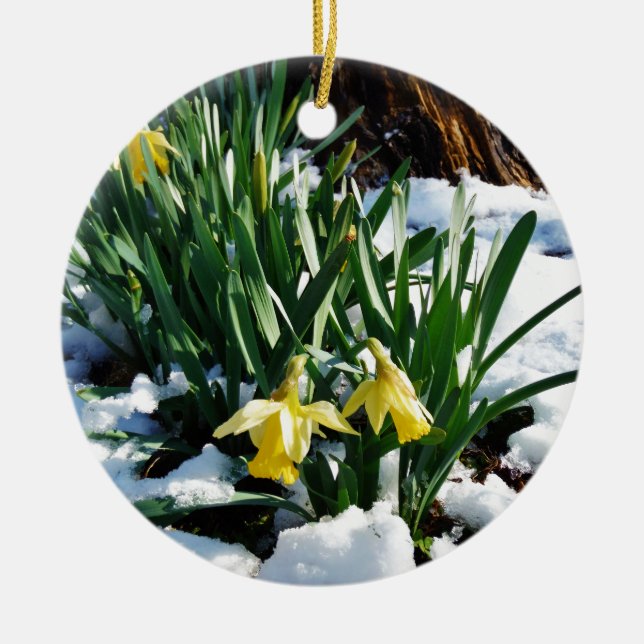Gult Daffodils blommor i snö Julgransprydnad Keramik (Framsidan)