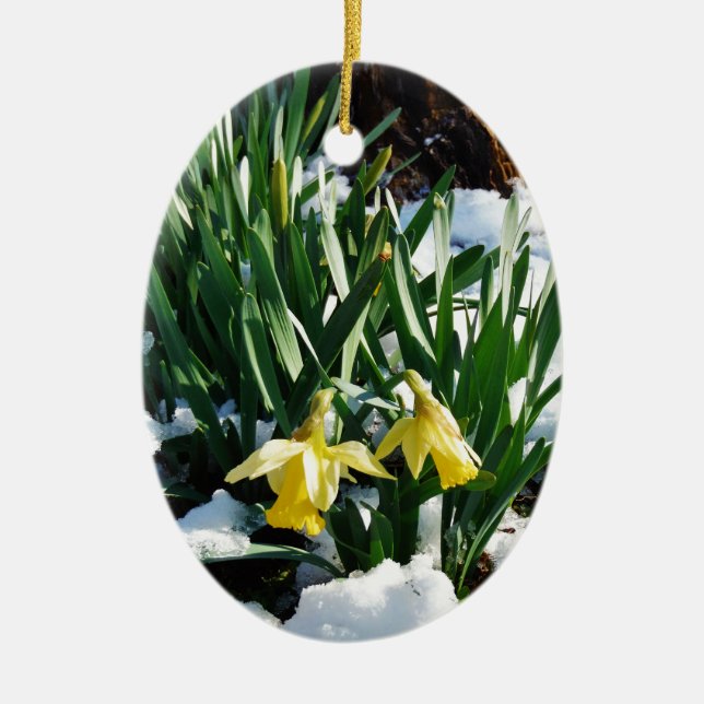 Gult Daffodils blommor i snö Julgransprydnad Keramik (Framsidan)