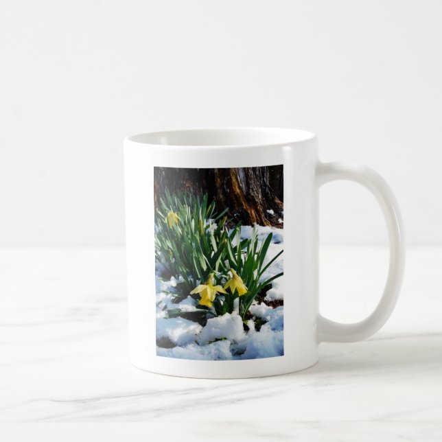 Gult Daffodils blommor i snö Kaffemugg (Höger)
