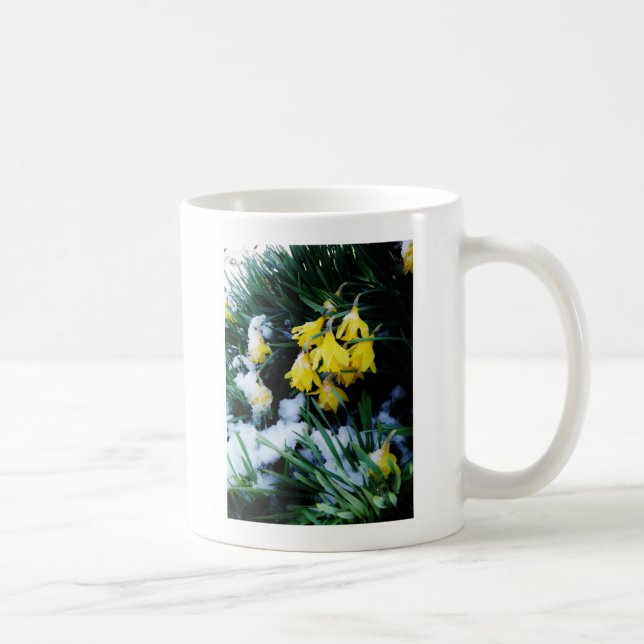 Gult Daffodils blommor i snö Kaffemugg (Höger)