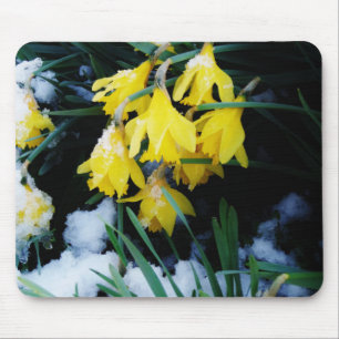 Gult Daffodils blommor i snö Musmatta