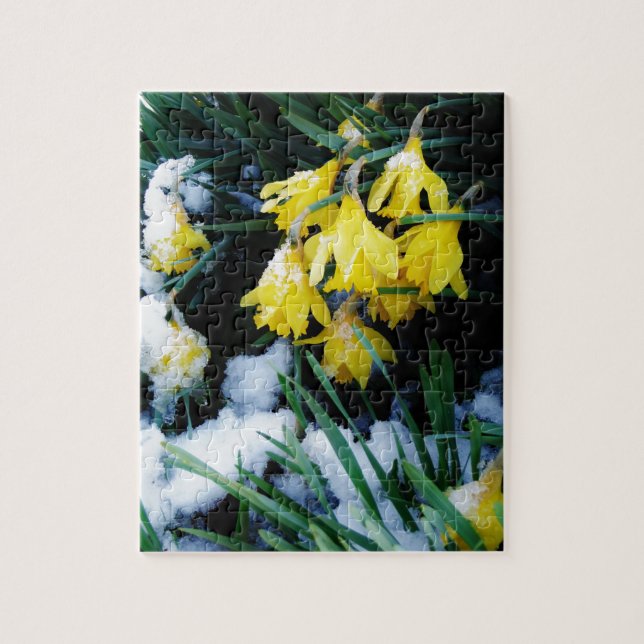 Gult Daffodils blommor i snö Pussel (Vertikal)