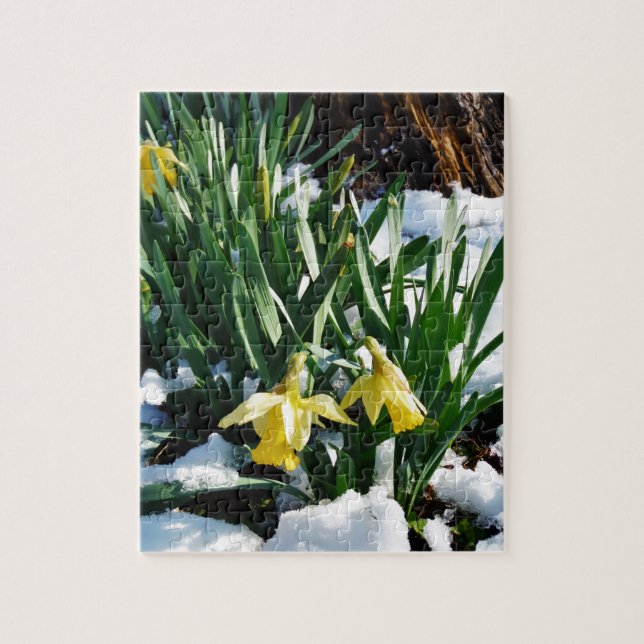 Gult Daffodils blommor i snö Pussel (Vertikal)