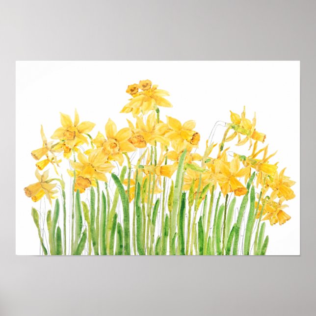gult daffodils fält poster (Framsidan)