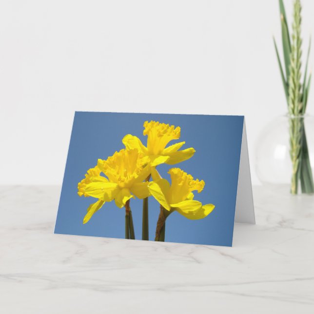 Gult Daffodils Greeting Cards Anpassningsbar Vår Helgkort (Framsida)