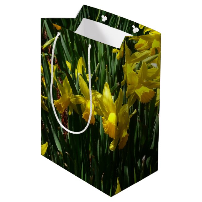 Gult Daffodils I Cheery Vår blommor (Baksidan Vinklad)