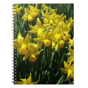 Gult Daffodils I Cheery Vår blommor Anteckningsbok