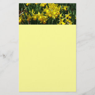 Gult Daffodils I Cheery Vår blommor Brevpapper