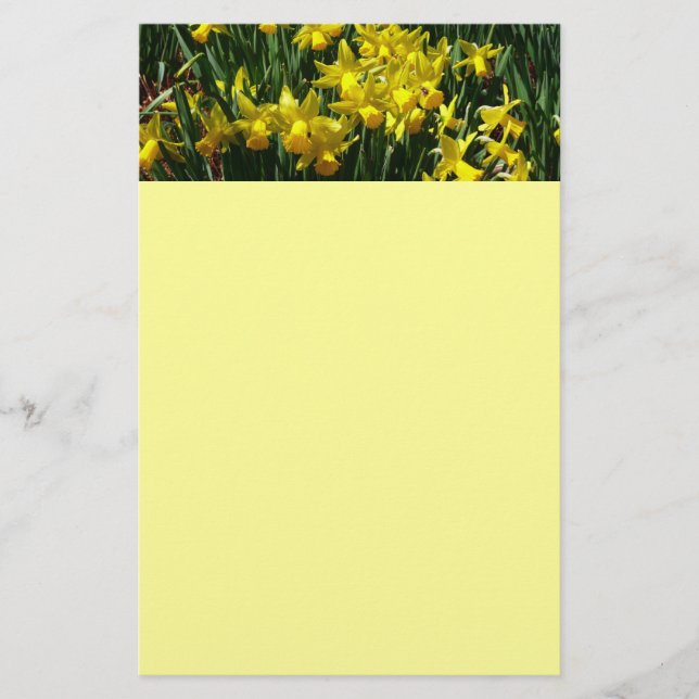 Gult Daffodils I Cheery Vår blommor Brevpapper (Framsida)