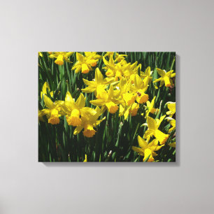 Gult Daffodils I Cheery Vår blommor Canvastryck