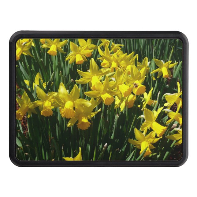Gult Daffodils I Cheery Vår blommor Dragkroksskydd (Framsidan)
