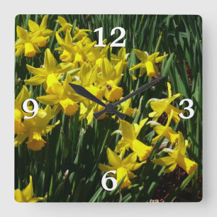 Gult Daffodils I Cheery Vår blommor Fyrkantig Klocka