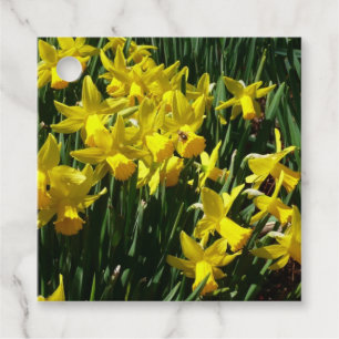 Gult Daffodils I Cheery Vår blommor Gåvor Etiketter