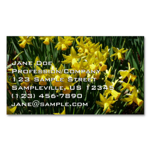 Gult Daffodils I Cheery Vår blommor Magnetiska Visitkort