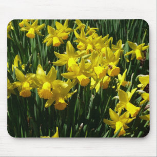 Gult Daffodils I Cheery Vår blommor Musmatta