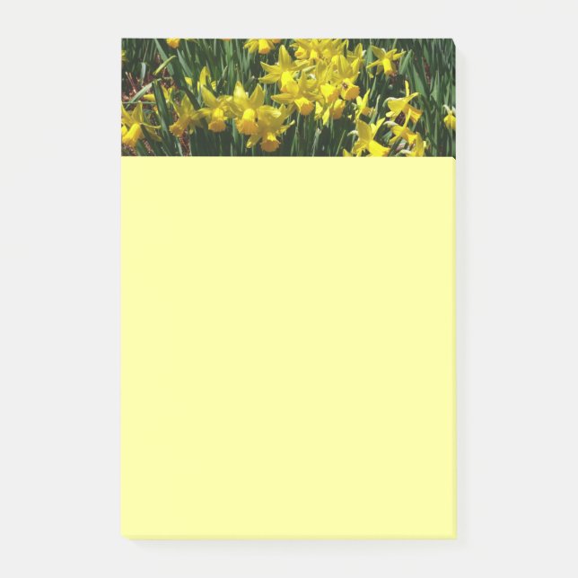 Gult Daffodils I Cheery Vår blommor Post-it Block (Framsida)