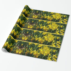 Gult Daffodils I Cheery Vår blommor Presentpapper