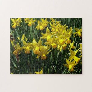 Gult Daffodils I Cheery Vår blommor Pussel