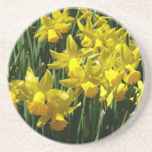 Gult Daffodils I Cheery Vår blommor Underlägg Sandsten