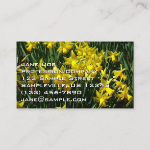 Gult Daffodils I Cheery Vår blommor Visitkort