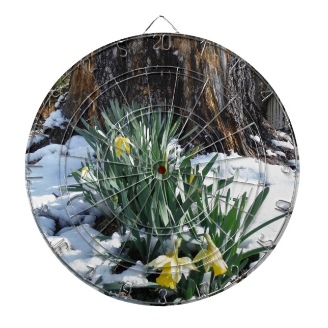 Gult Daffodils i snö Darttavla (Framsidan)