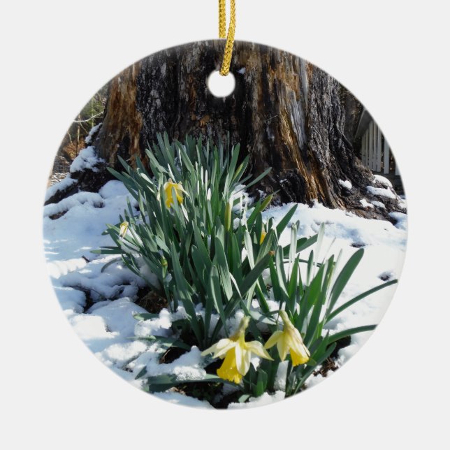 Gult Daffodils i snö Julgransprydnad Keramik (Framsidan)