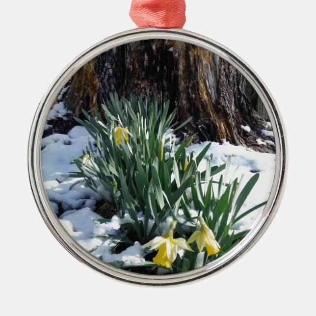Gult Daffodils i snö Julgransprydnad Metall (Framsidan)