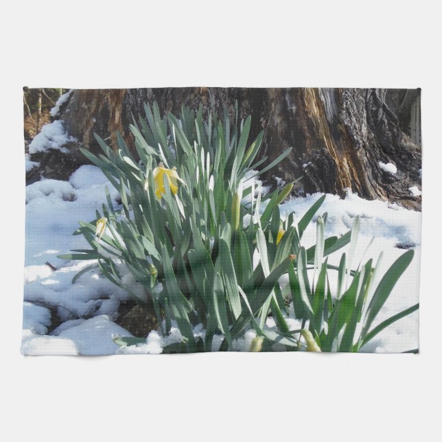 Gult Daffodils i snö Kökshandduk (Horisontell)