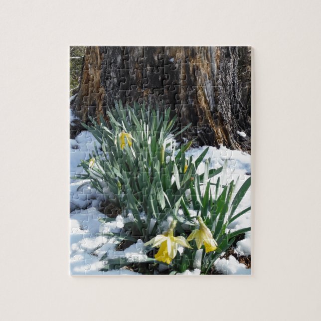 Gult Daffodils i snö Pussel (Vertikal)