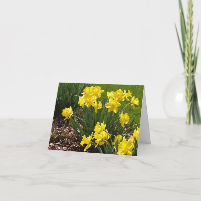 Gult Daffodils Note Card Kort (Framsida)