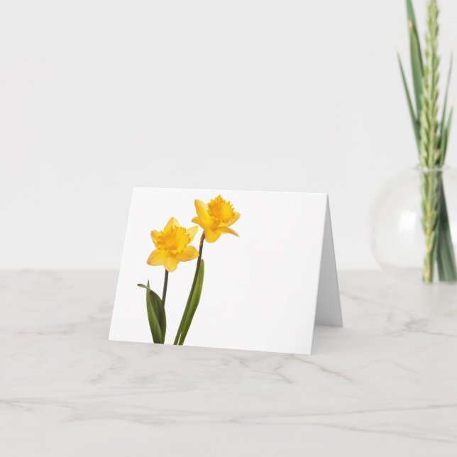 Gult Daffodils on White - Daffodil Blank Kort (Framsida)