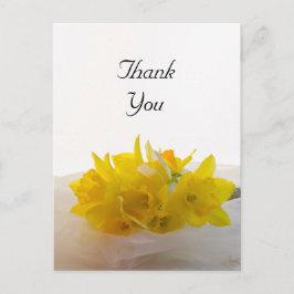 Gult Daffodils on White Vår bröllop Tack Vykort