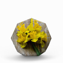 Gult Daffodils Photo Block