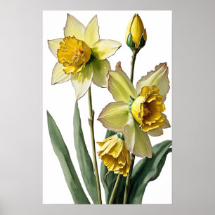 Gult Daffodils Poster Flower Art Print