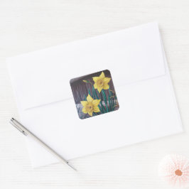 Gult Daffodils Stickers Fyrkantigt Klistermärke
