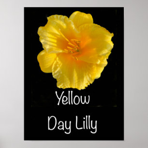 Gult Dag Lilly Poster 12" x 16 "