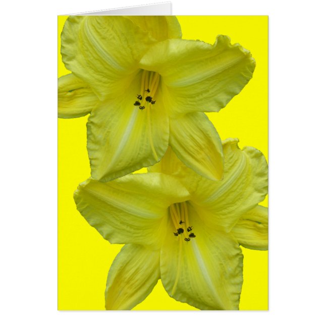 Gult Dagligen koordinerar objekt Hälsningskort (Framsidan)