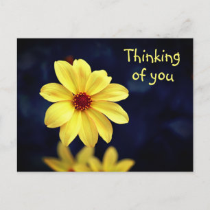 Gult Dahlia Elegant Flower Thinking of You Helg Vykort