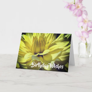 Gult Dahlia Flower Petals Birthday Kort