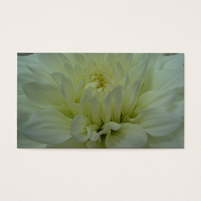 Gult Dahlia Flower Visitkort (Framsidan)