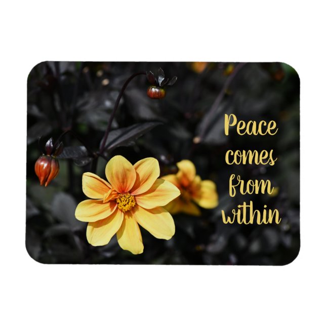Gult Dahlia Flowers Wisley Gardens Motivational Magnet (Horisontell)