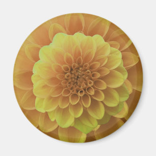 Gult Dahlia Magnet