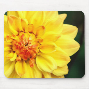Gult Dahlia Mousepad Musmatta
