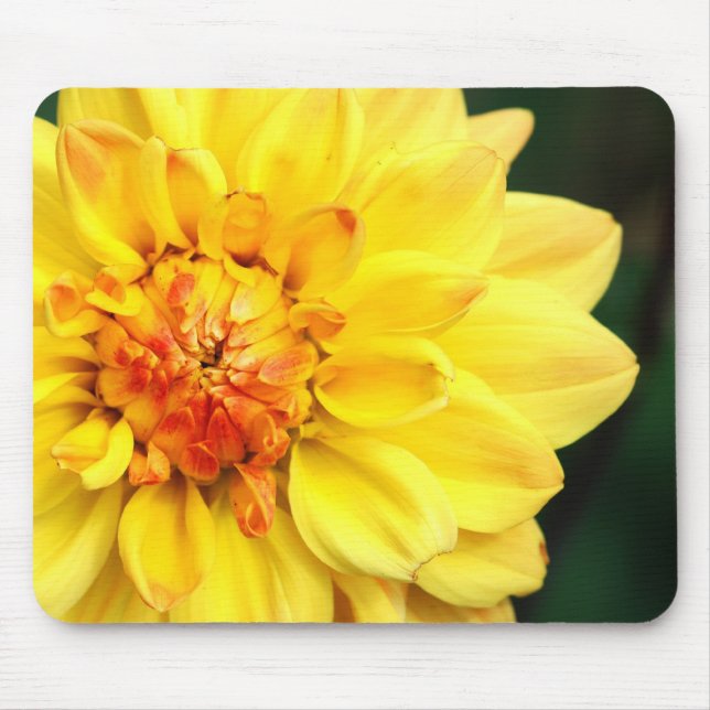 Gult Dahlia Mousepad Musmatta (Framsidan)