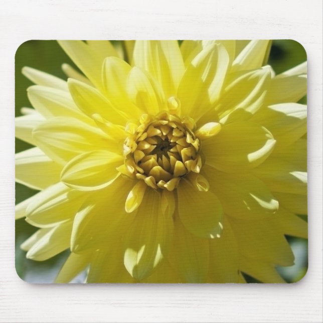 Gult Dahlia Mousepad Musmatta (Framsidan)