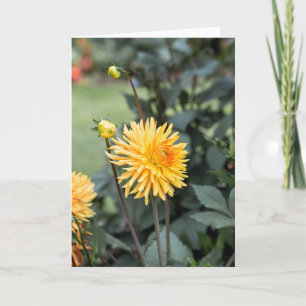Gult Dahlia Note Kort