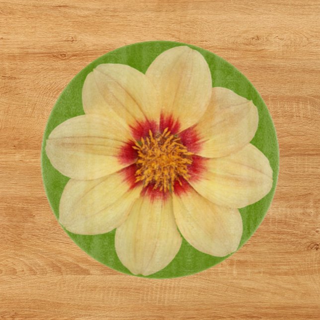 Gult Dahlia på Blommigten Grönt (In Situ)