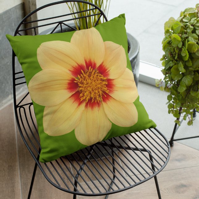Gult Dahlia på Blommigten Grönt Kudde (In Situ Patio)