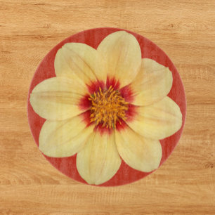 Gult Dahlia på Red Blommigt